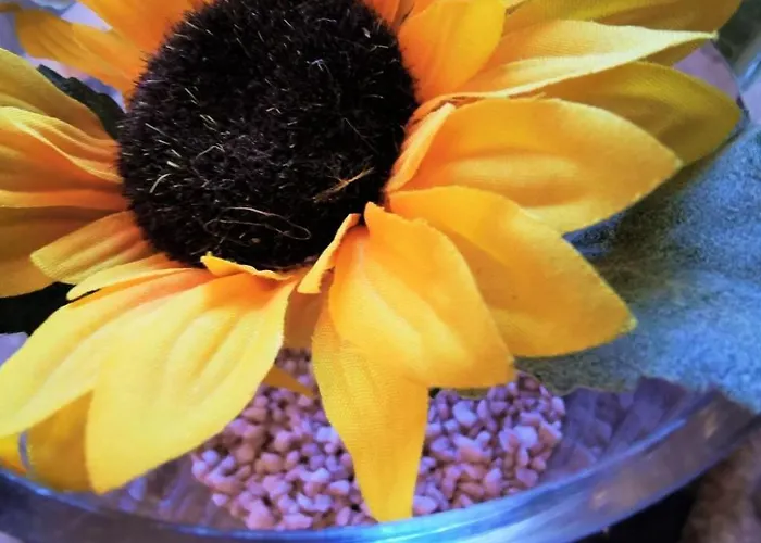 Appartamento Nevenka By Interhome *