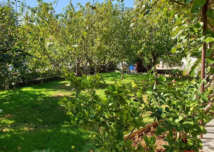 Nevenka By Interhome