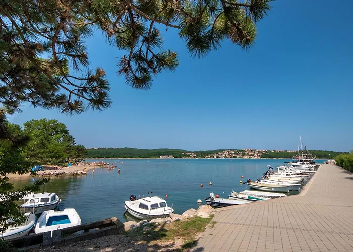 Nevenka By Interhome Appartamento *